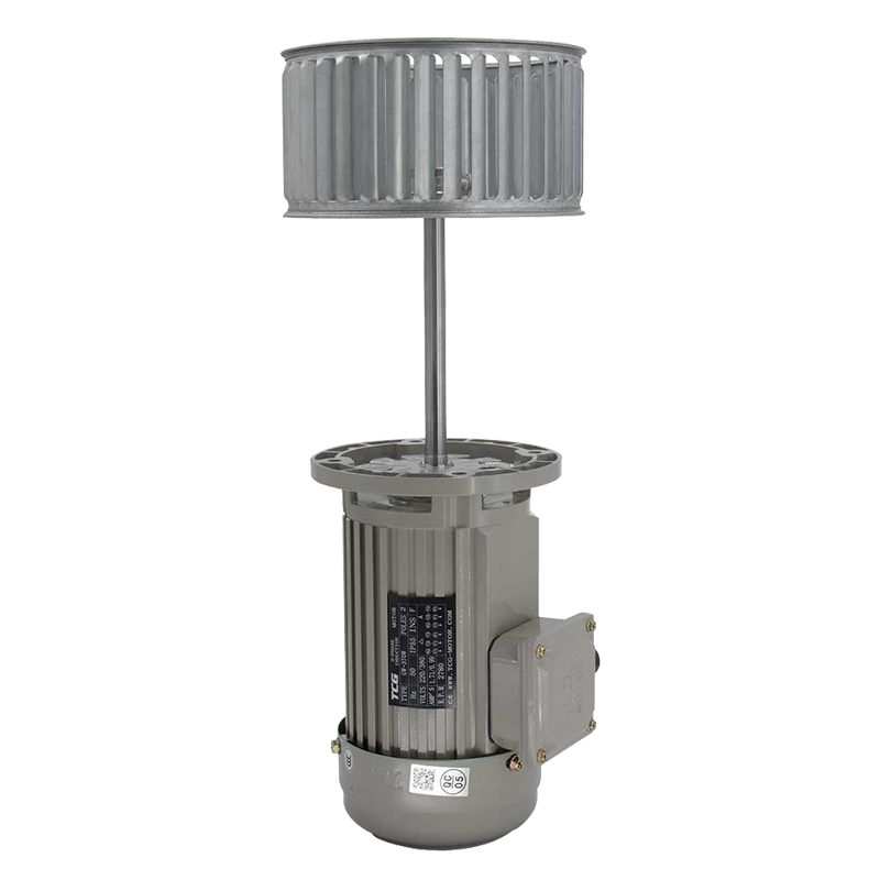 非標(biāo)電機(jī)