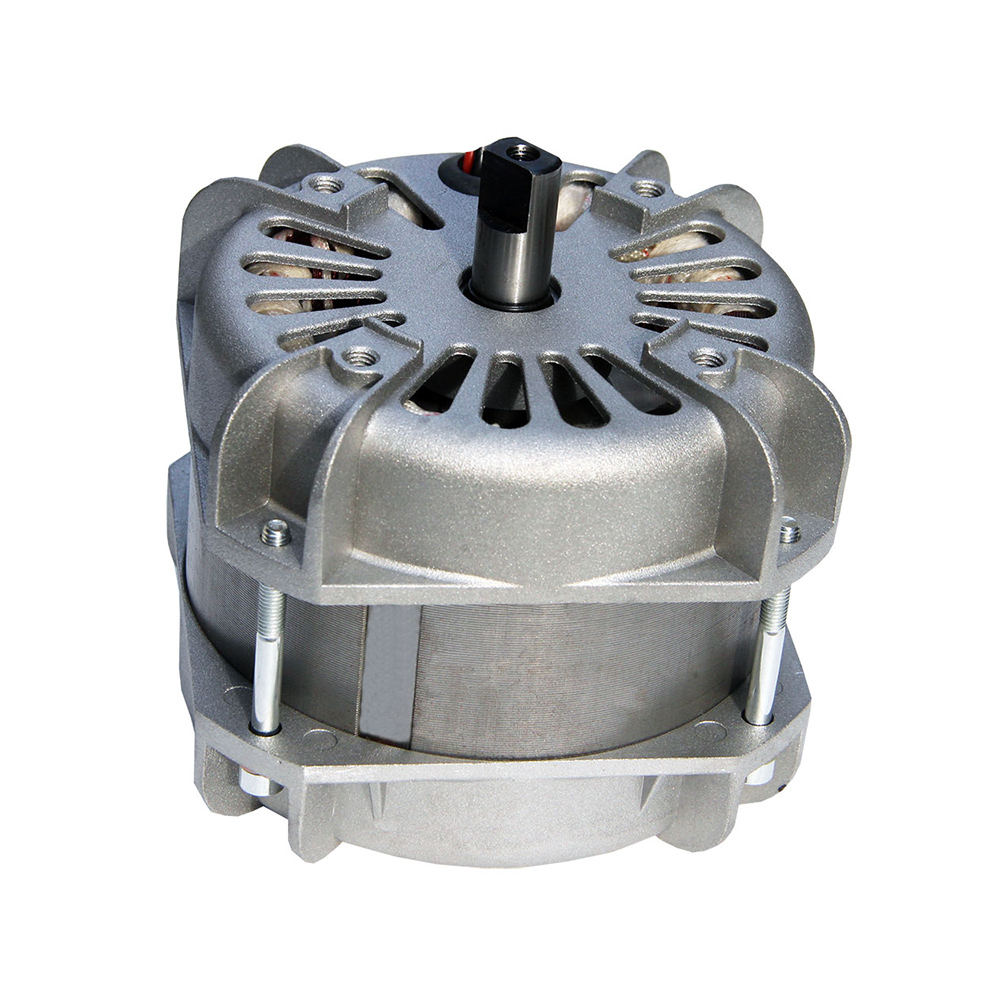 電動門專用電機