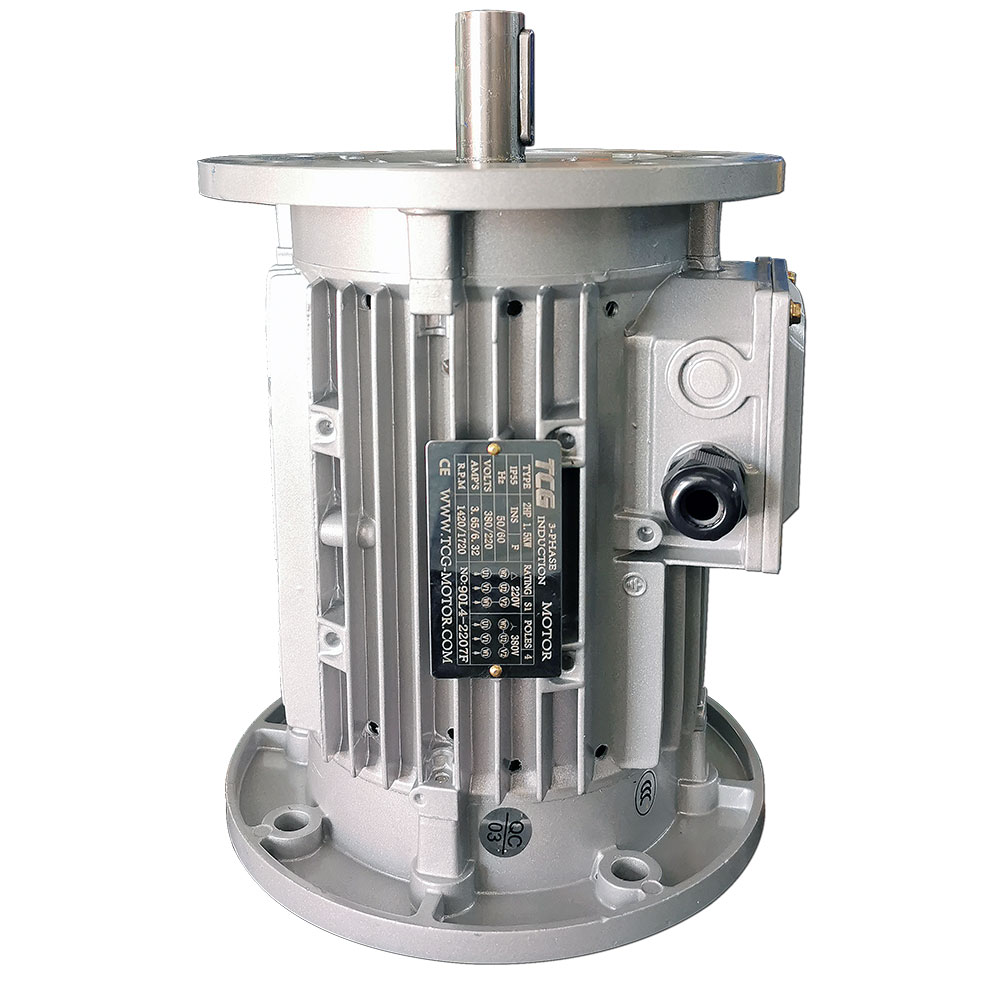 雙法蘭非標電機