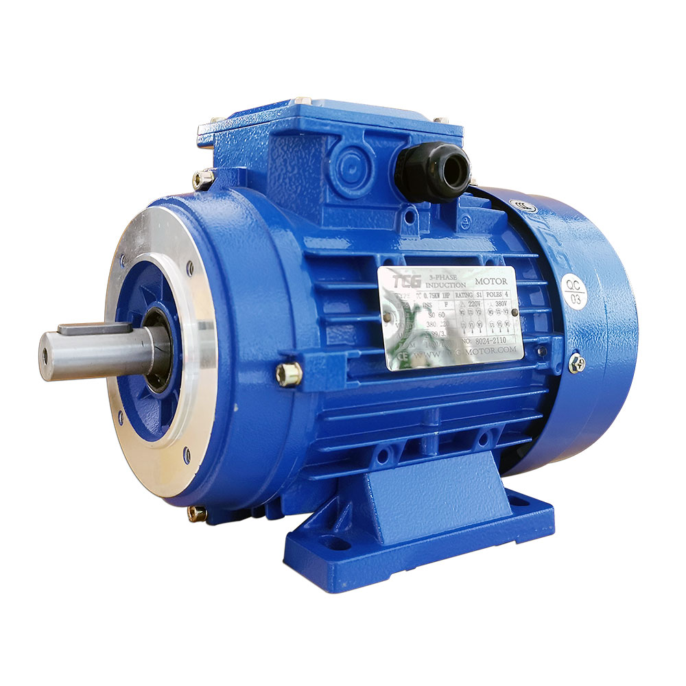 B34臥立式鋁殼電機